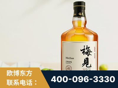 鄂州-梅见青梅酒